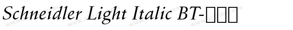 Schneidler Light Italic BT字体转换